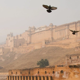 tourhub | G Adventures | Golden Triangle Independent Adventure—Delhi, Agra & Jaipur 