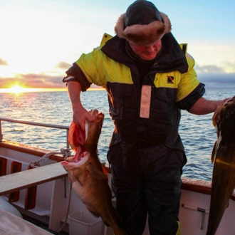 tourhub | World Sea Explorers AS | Winter Cod Fishing in Arctic Norway 