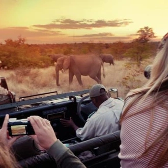 tourhub | G Adventures | Explore Kruger National Park 