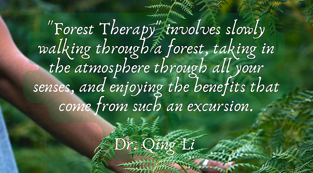 Quote on Forest Therapy