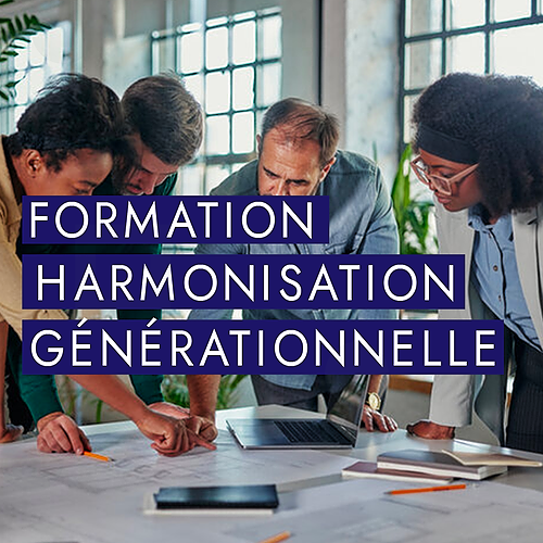 Représentation de la formation : Harmonisation générationnelle : La synergie au sein de l'entreprise