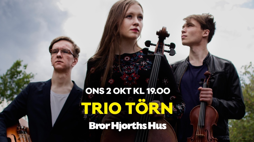Trio Törn är: 
Klara Källström – Cello
Olof Kennemark – Fiol
Petrus Dillner – Nyckelharpa