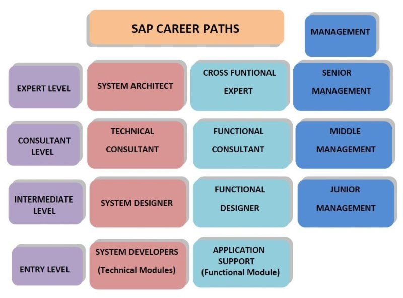 SAP Career Paths