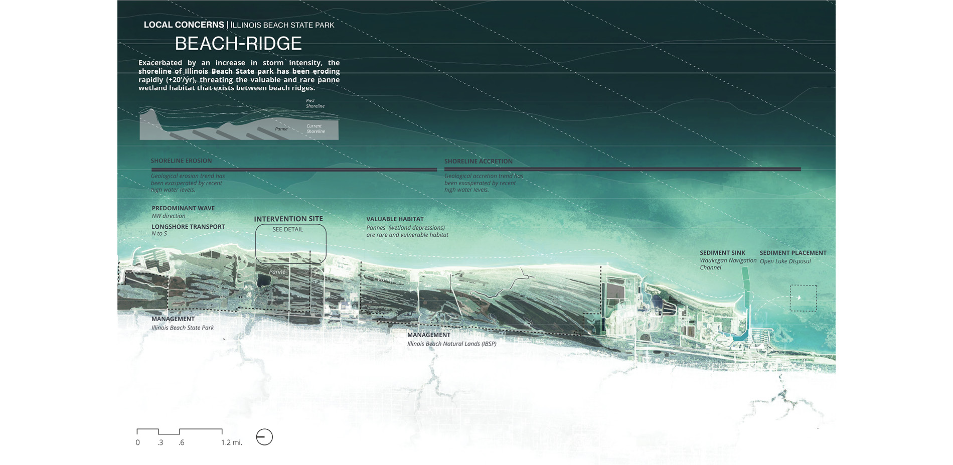 Beach Ridge Plain: Local Conditions