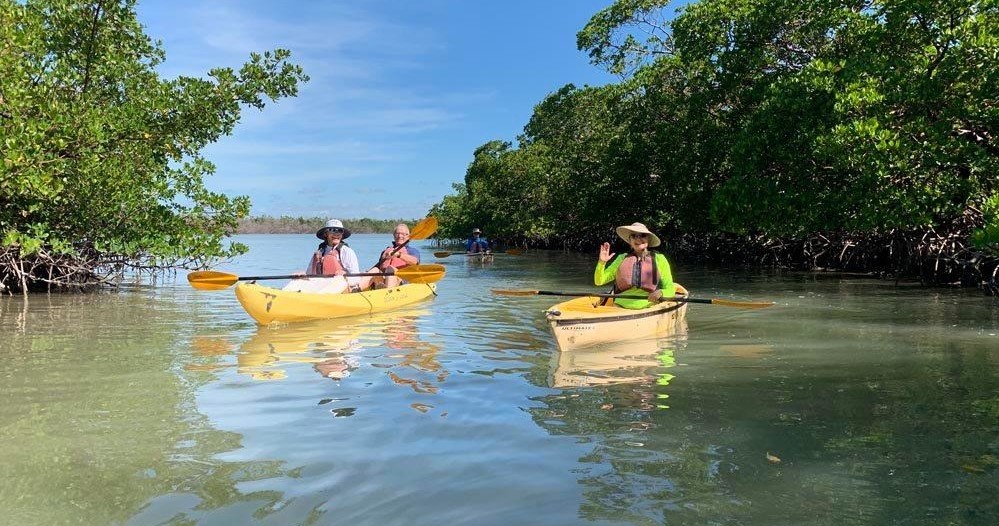 Private Orchids & Alligators Kayak Eco Tour