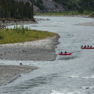 tourhub | G Adventures | Alaska Kenai & Denali Adventure 