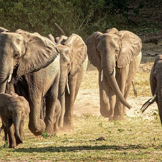 tourhub | G Adventures | Kruger, Falls & Zimbabwe: Mineral Pools & National Parks 