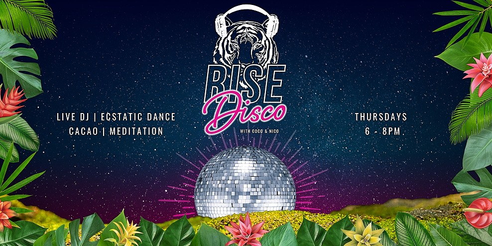 Mullumbimby Aug19 Rise Disco Full Moon Silent Disco Cacao Dance Mullumbimby 19th Of August Humanitix