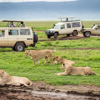 tourhub | ARP Travel Group | Kifaru Safari, Serena Lodges - Private Tour  