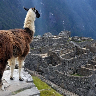 tourhub | Lima Tours | Inca Journey, Private Tour 