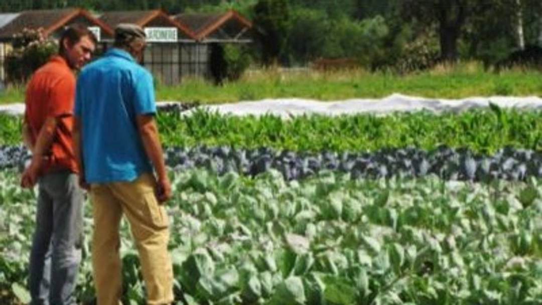 Représentation de la formation : Itinéraires techniques en maraichage