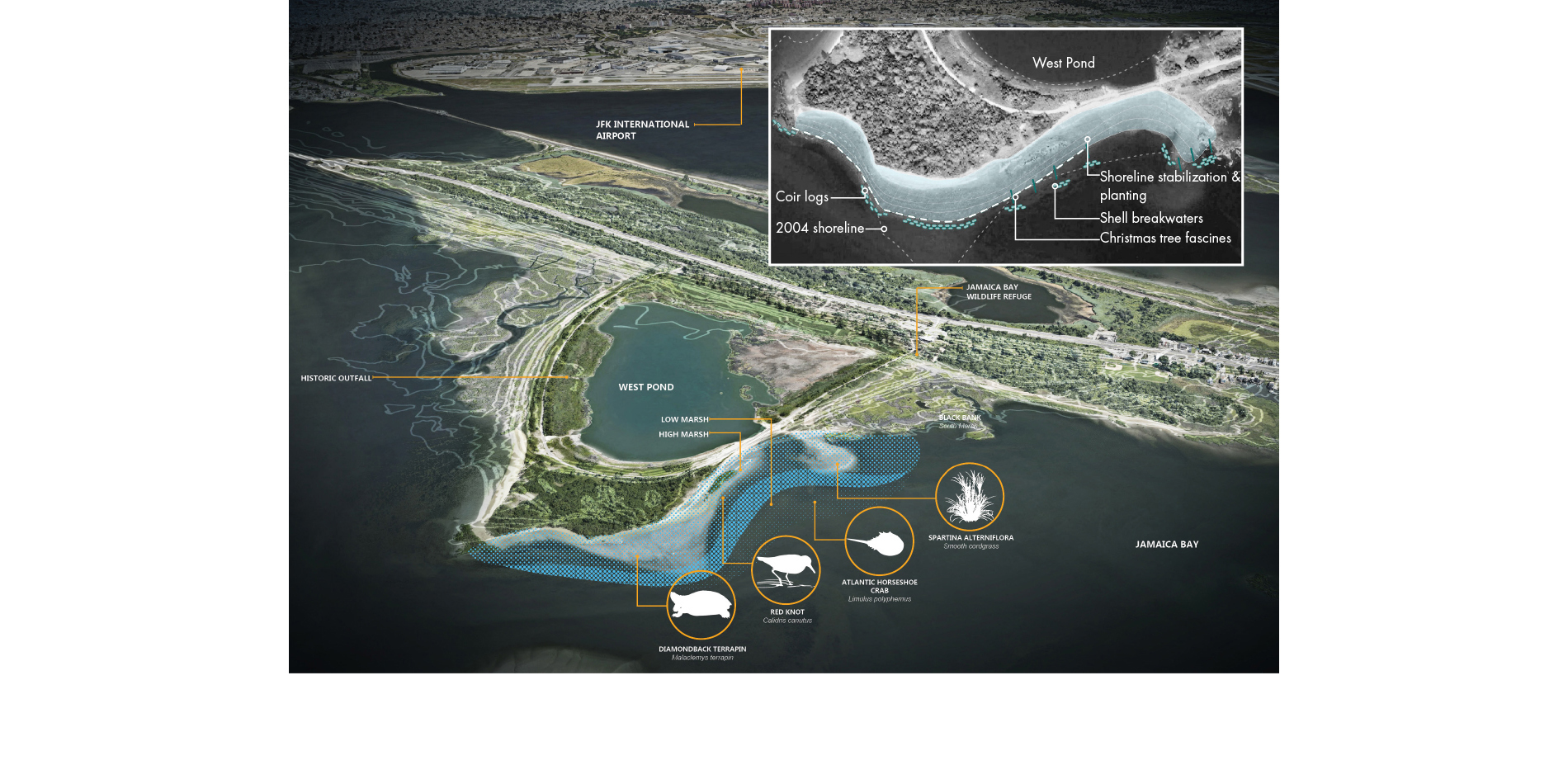 Site Plan: As a living shoreline, the restoration project uses natural breakwater features to protect the freshwater West Pond.