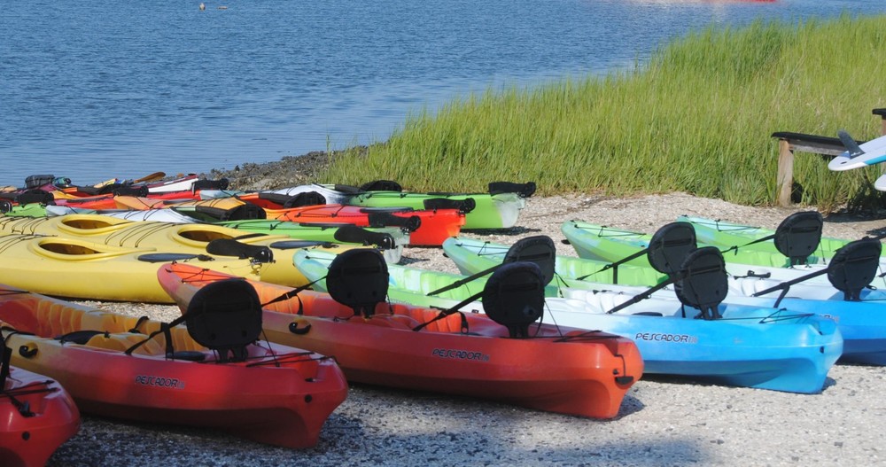 Marsh Kayaking Tour - 3 Hours   