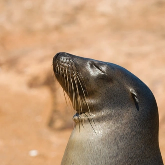 tourhub | Intrepid Travel | Galapagos at a Glance: Southern Islands (Grand Daphne) 