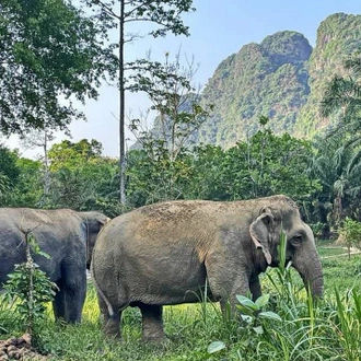 tourhub | All Points East | South Thailand Tour | Mountains and Rainforests 