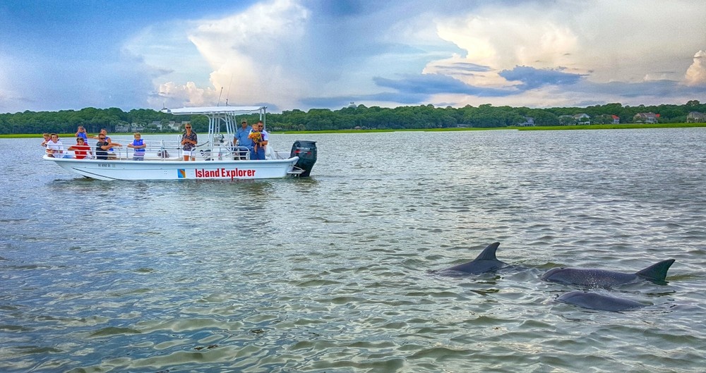 Dolphin Encounter - Two Hour