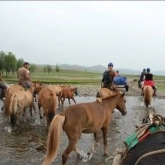 tourhub | Tour Mongolia | Nomadic Lifestyle 