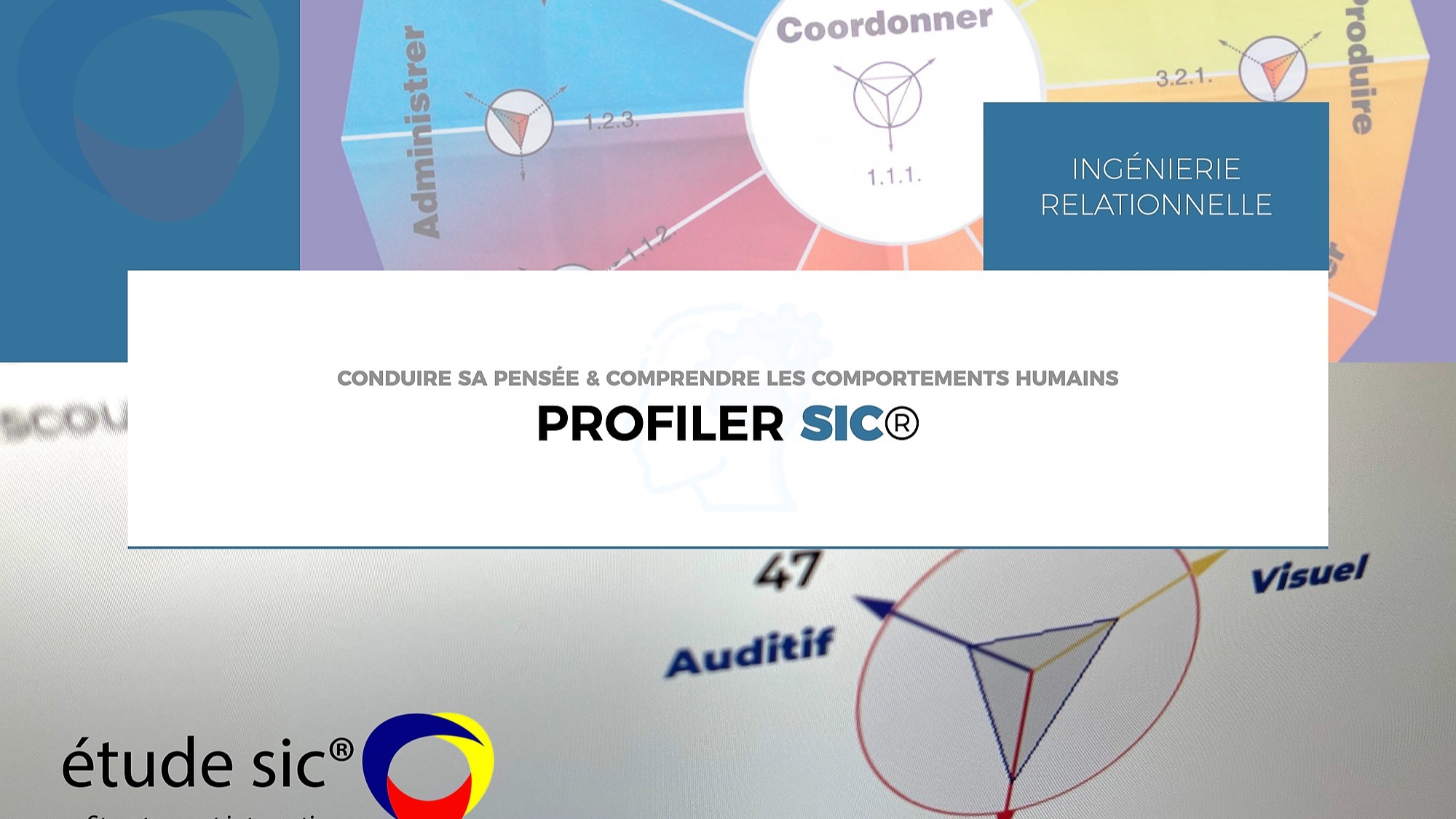 Représentation de la formation : Profiler SIC®