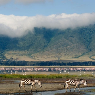 tourhub | Nomad Explorer Tours | 4-Day Serengeti & Ngorongoro Crater Lodge Safari 