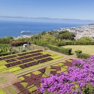 tourhub | Travel Editions | Gardens of Madeira Tour 