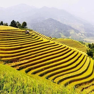 tourhub | Mr Linh's Adventures | HA GIANG PANORAMAS 4 DAYS 3 NIGHTS 