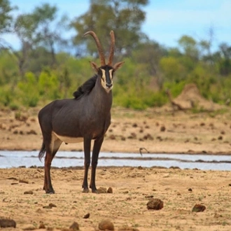 tourhub | Saga Holidays | Zimbabwe - The Path to the Smoke that Thunders 