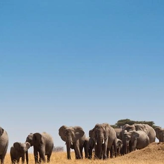 tourhub | G Adventures | Safari in Kenya & Tanzania 