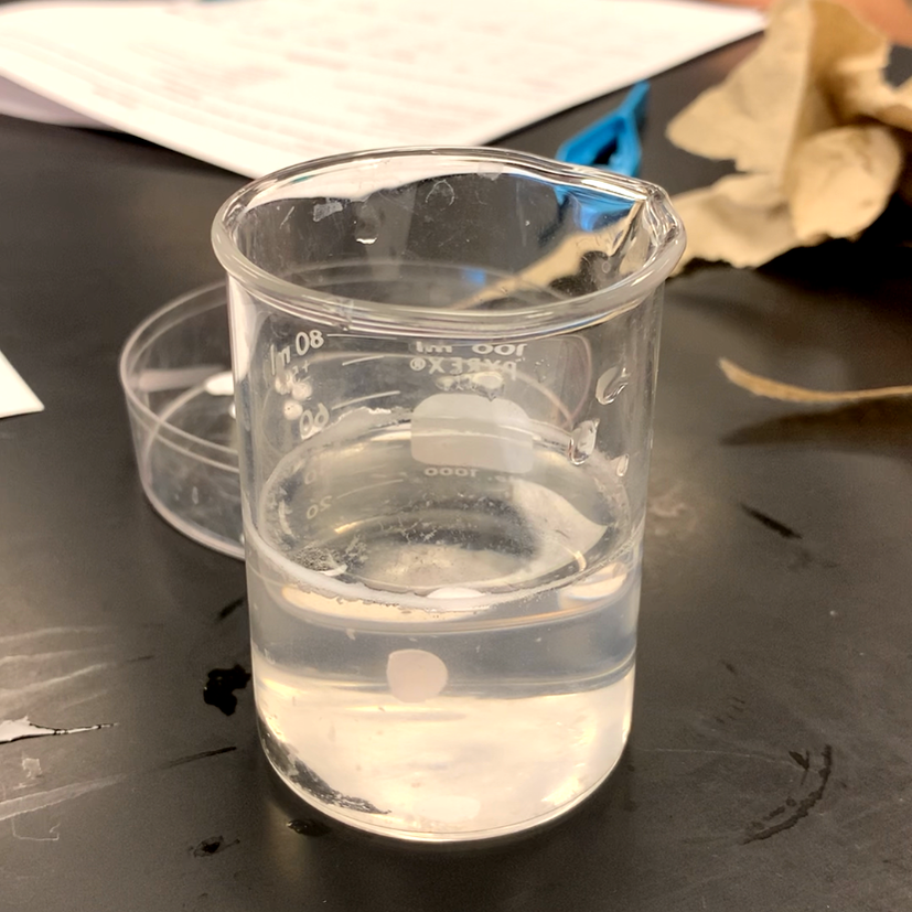 enzymology lab experiments