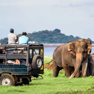 tourhub | Intrepid Travel | Premium Sri Lanka  