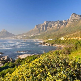 tourhub | ATC South Africa | Cape Town's Culture and Cuisine, Private tour 