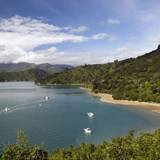 tourhub | Intrepid Travel | Walk New Zealand's Queen Charlotte Track 