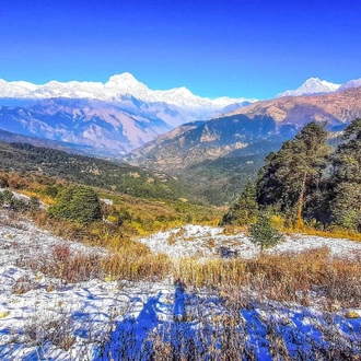 tourhub | Sherpa Expedition & Trekking | Ghorepani Poon Hill Trek 7 Days 