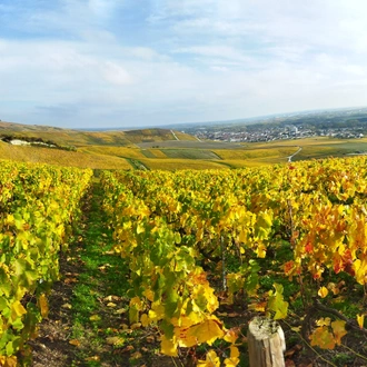 tourhub | Exodus Adventure Travels | Walking The Vineyards of Champagne 