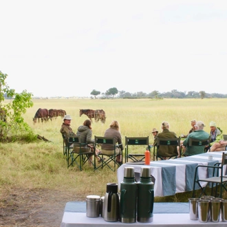 tourhub | YellowWood Adventures | Horse riding safari in Botswana's Okavango Delta 