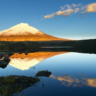 tourhub | BM Tours | Ecuadorian Adventure Quito - Galápagos Islands 8 Days 7 Nights 