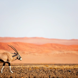 tourhub | Exodus Adventure Travels | Discover Namibia - Camping 