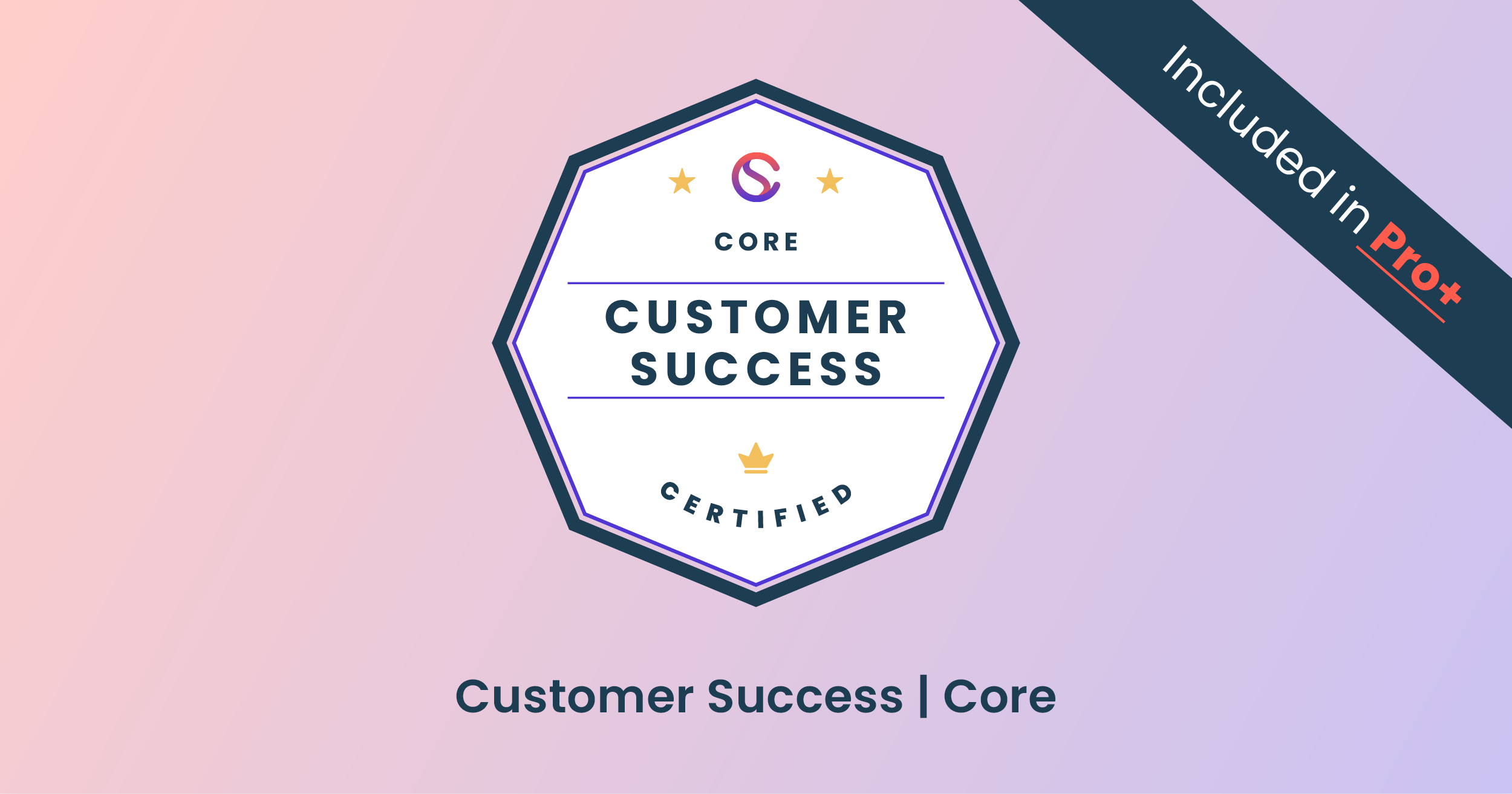 Customer Marketing Certified, Core