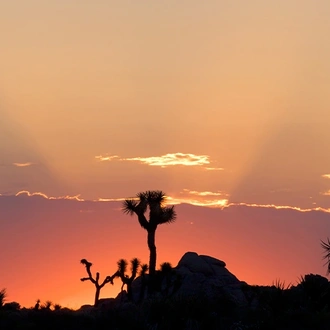 tourhub | Intrepid Travel | Hiking and Camping in Joshua Tree 