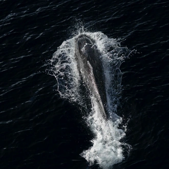 tourhub | Heritage Expeditions | Unseen Fiordland and Stewart Island 