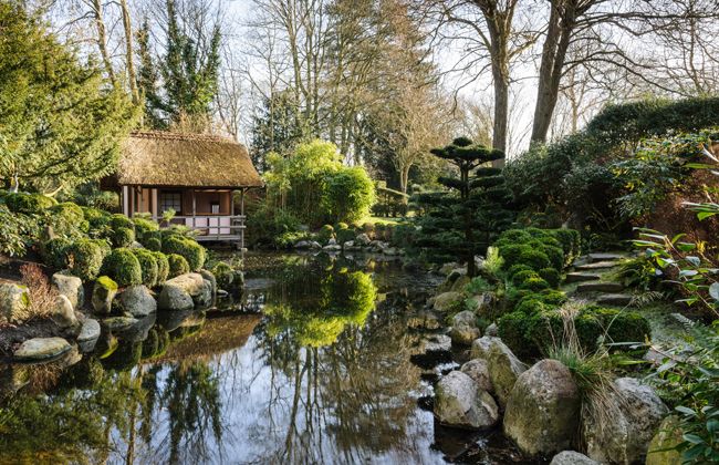 Japanese tea garden