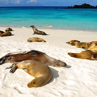 tourhub | Latin Trails | Galapagos Southern and Central Islands Cruise 