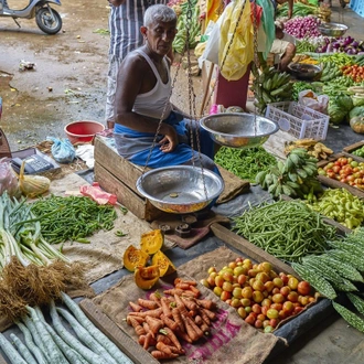 tourhub | SpiceRoads Cycling | North Sri Lanka by Road Bike 