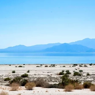 tourhub | Trafalgar | America's Great Desert National Parks End Tucson 