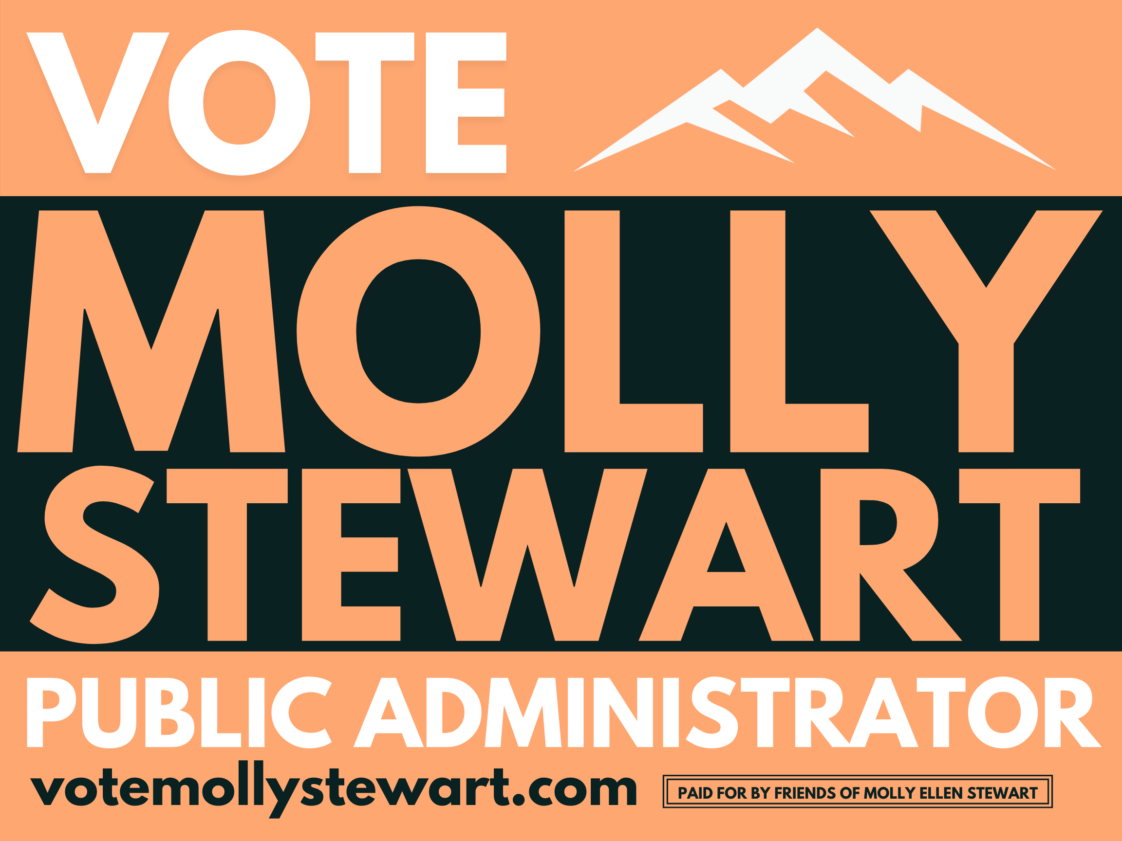 Molly Stewart for Public Administrator logo