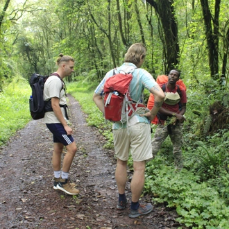 tourhub | Burigi Chato Safaris | 7 Days Kilimanjaro Mountain summit tour Via Machame route 