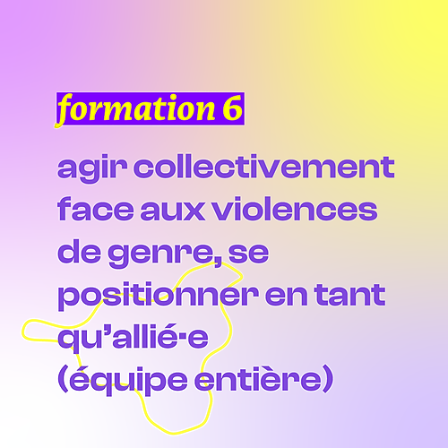 Représentation de la formation : FORMATION 6 - AGIR COLLECTIVEMENT FACE AUX VIOLENCES DE GENRE