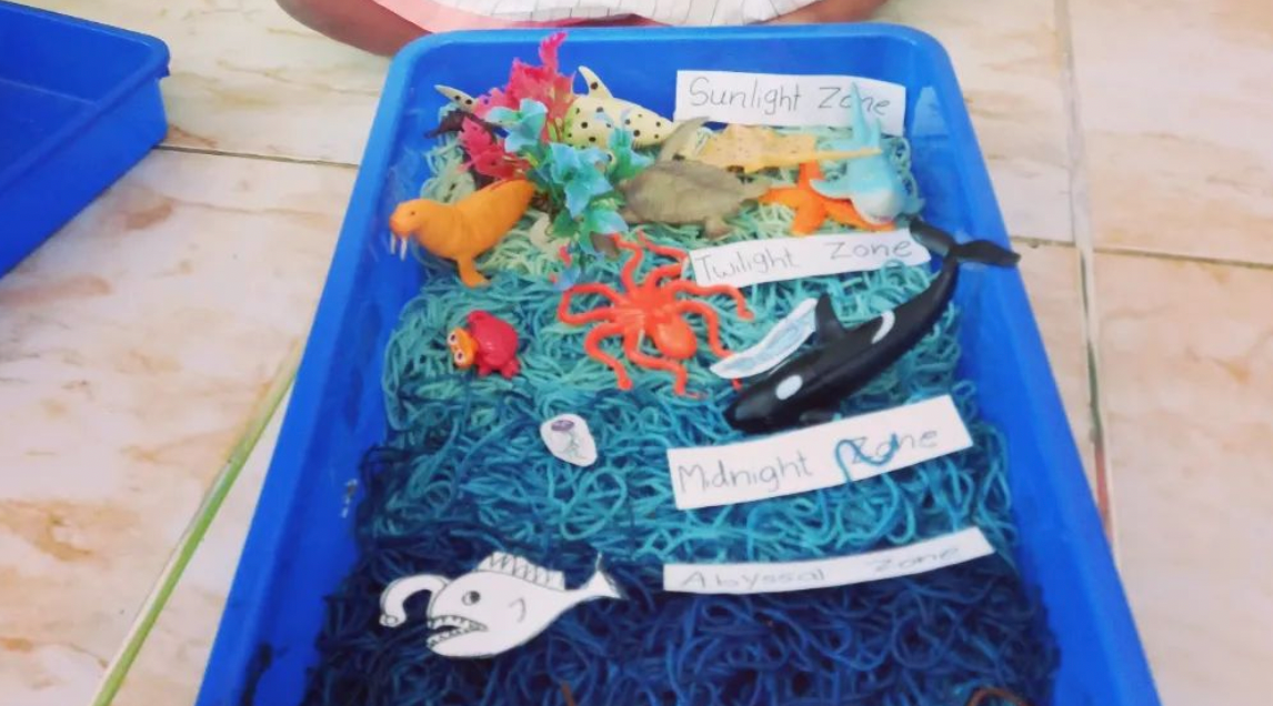 28 fun ocean activities kids will enjoy teaching expertise