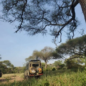 tourhub | Bantu Pori Journeys  | 2 Days Tarangire National Park & Ngorongoro Crater 