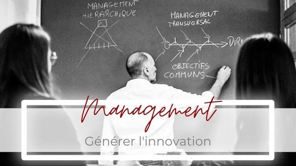 Représentation de la formation : MANAGEMENT - Générer l'innovation - 2023