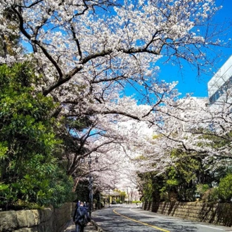 tourhub | Tweet World Travel | Heritage Of Japan Biking Tour 